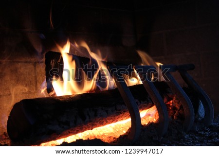 Beautiful fire - firewood