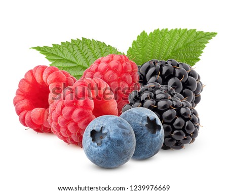 wild berries mix, raspberry, blueberries, blackberries isolated on white background, clipping path, full depth of field Royalty-Free Stock Photo #1239976669