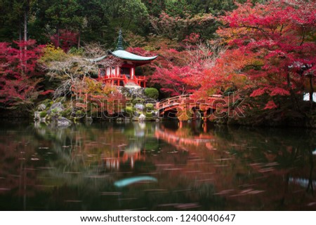Daigoji Japanese Buddhism temple is The world heritage site with many leaf colorful maple trees during autumn leaves in Kyoto, Japan