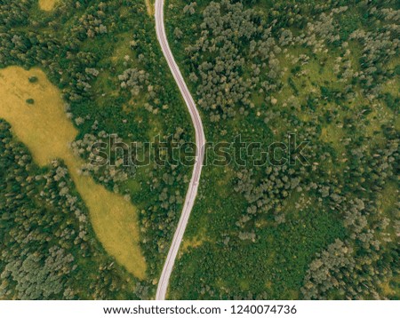 Aerial view of road in beautiful autumn forest. High altitude.
