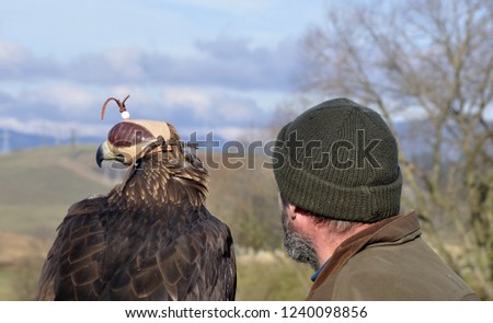 eagle and man hunting partners falconry in Slovakia