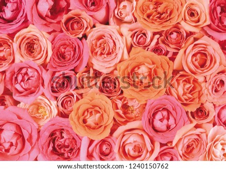 flower background texture Royalty-Free Stock Photo #1240150762