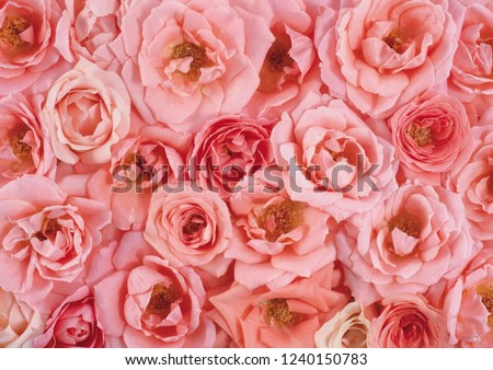 flower background texture Royalty-Free Stock Photo #1240150783