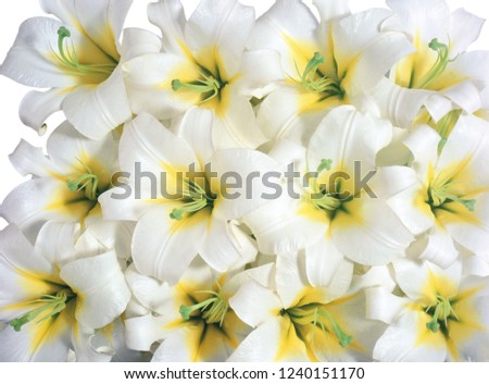 flower background texture Royalty-Free Stock Photo #1240151170