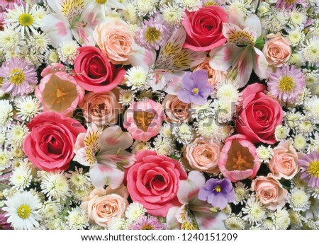 flower background texture Royalty-Free Stock Photo #1240151209
