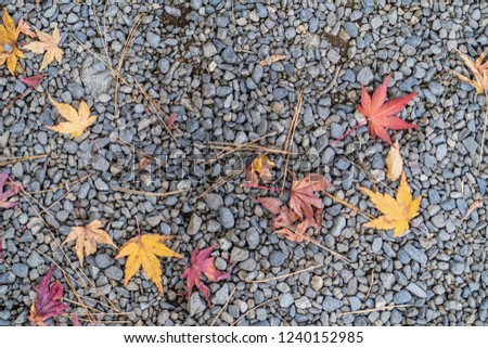 Backgrond of read leaf with stone