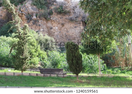 Park with lawn and trees on foot of mountain