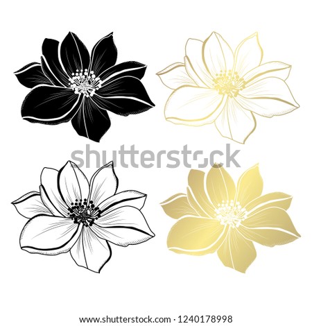 Decorative anemone flowers, design elements. Can be used for cards, invitations, banners, posters, print design. Golden flowers