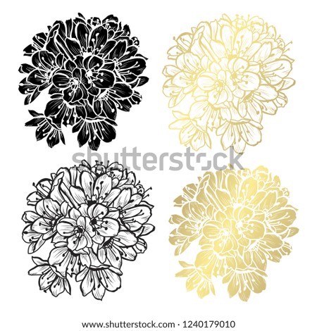 Decorative clivia flowers, design elements. Can be used for cards, invitations, banners, posters, print design. Golden flowers