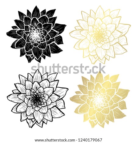 Decorative lotus flowers, design elements. Can be used for cards, invitations, banners, posters, print design. Golden flowers