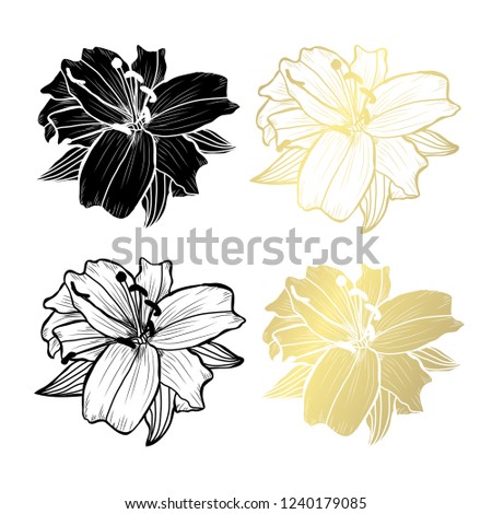 Decorative lily  flowers, design elements. Can be used for cards, invitations, banners, posters, print design. Golden flowers