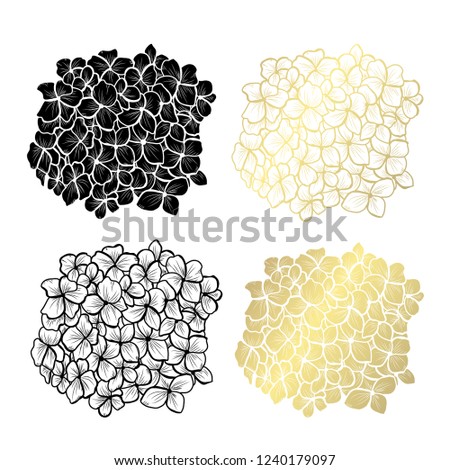 Decorative hydrangea flowers, design elements. Can be used for cards, invitations, banners, posters, print design. Golden flowers