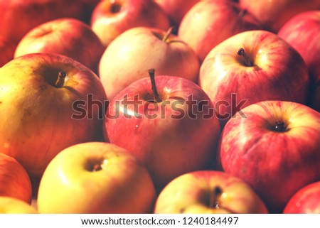Many red and yellow apples, colorful fruit background,toned picture