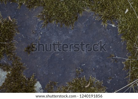 the texture of the stone with moss

