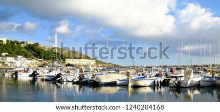 Harbor, boats moored in the marina of Leuca in Italy, in the background the cliff and the lighthouse on a beautiful sunny day at 