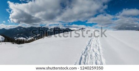 Sledge trace and footprints on winter mountain hill top and snow covered picturesque alp Chornohora ridge (Ukraine, Carpathian Mountains, tranquility peaceful view from Dzembronya village outskirts).