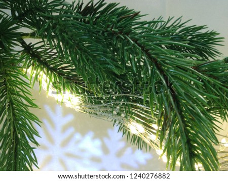 Fir tree green branch,  holiday lights, snowflakes.Winter. New Year, Christmas.