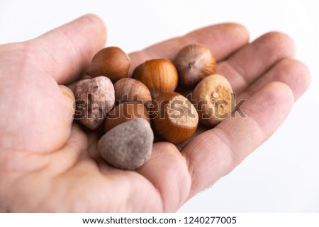 concept: a trap for online shoppers, hazelnuts are among similar in shape stones, in the hand of a person