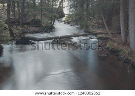 Little river in the beautiful forest of Bavaria