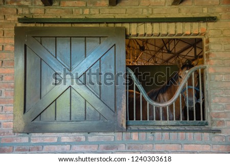Open window of a horse stal with a horse peeking from the inside