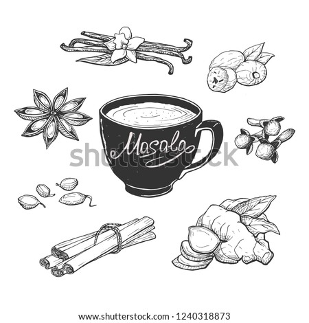 Vector illustration of masala milk tea cup and spices. Anise, clove, vanilla, cardamom, cinnamon sticks, ginger, nutmeg. Hand drawn engraving style. Royalty-Free Stock Photo #1240318873