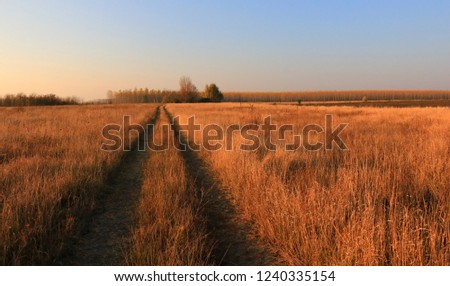 Beautiful Fall scene on curved unpaved road