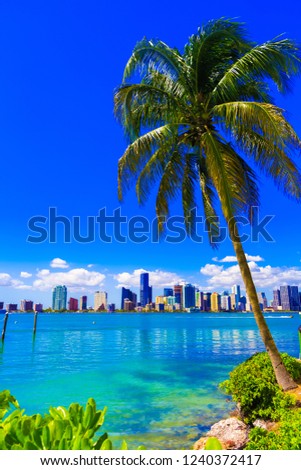 Skyline view of Miami Florida

