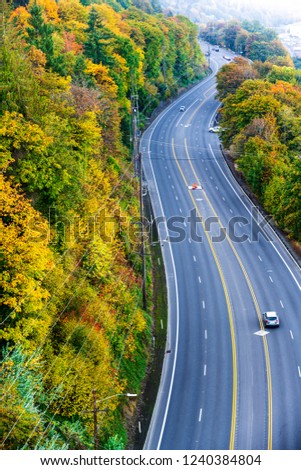 Landscape of autumn nature with yellowed trees burning in the rays of the sun, and winding road rests on the horizon like a picture of flying years inviting to continue the journey into the winter