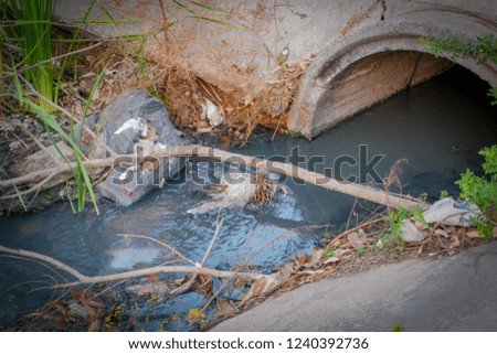 Polluted water in the city