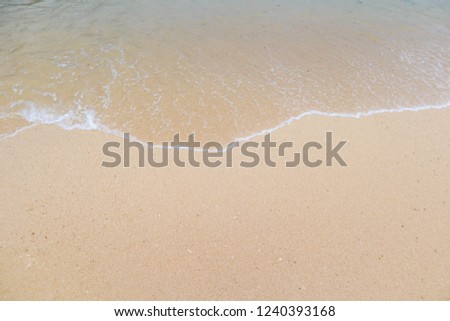 Clear beach and golden sand with beautiful waves are used as a background for the designs.