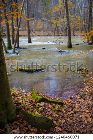 Overflowing Mohican River with Fall Leaves on the Ground