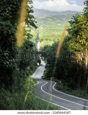 most beautiful road
