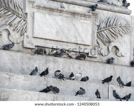 A lot of pigeons sitting on a white marble wall with decorative stucco. Light pastel creative background with birds, abstract with copy space
