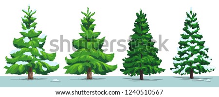 Christmas tree with snow. Vector green pine, fir and spruce trees with snowy branches in winter forest, isolated on white. Xmas and New Year holidays design