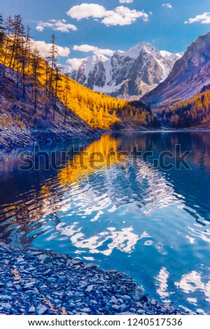 Mountain lake during autumn, Russia, Siberia, Altai mountains Royalty-Free Stock Photo #1240517536