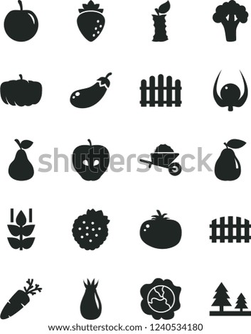 Solid Black Vector Icon Set - garden trolley vector, fence, hedge, tomato, carrot, strawberries, pear, mint, squash, tasty apple, raspberry, rose hip, plum, physalis, stub, broccoli, eggplant
