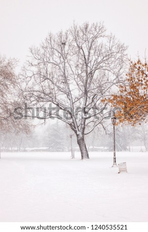 park under snow in Belgrade, note shallow depth of field