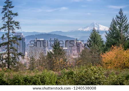 Portland Oregon skyline plants trees and Mt. Hood.