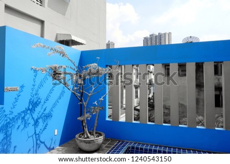 Wall painted in deep blue on grey background