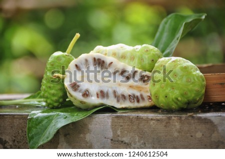 Noni Fruit   (Morinda citrifolia)  Royalty-Free Stock Photo #1240612504