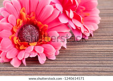 Pink artificial daisies on cloth background, closeup picture.
