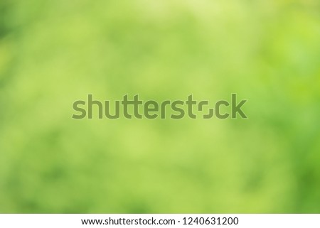 blurred bokeh light defocused background and textured , green color