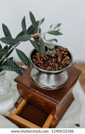 Coffee beans with olive branch