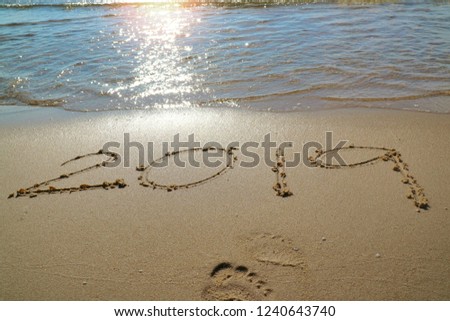Happy New year 2019 with the waves beat at the beach, reflection of sunlight  and foot print.
Nature and festival concept.