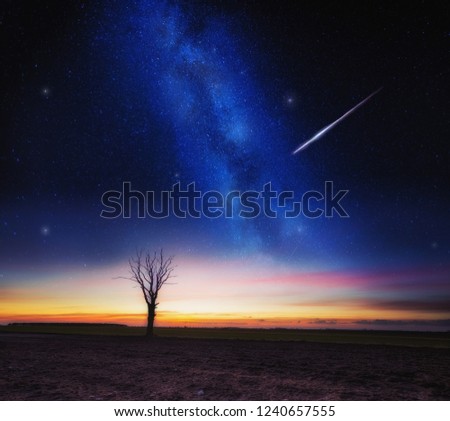 Beautiful dreamy night landscape with milky way on sky and fields.