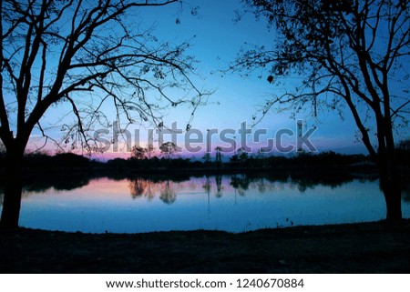 river tree silhouette 