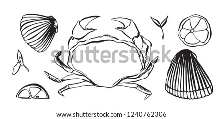 Hand drawn vector illustration of crab as seafood. Shellfish with lemon and herbs. Black isolated on white background.