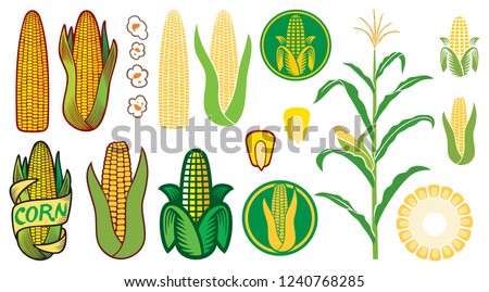 corn vector icons set (grain or seed, stalk, popcorn, corncob) Royalty-Free Stock Photo #1240768285