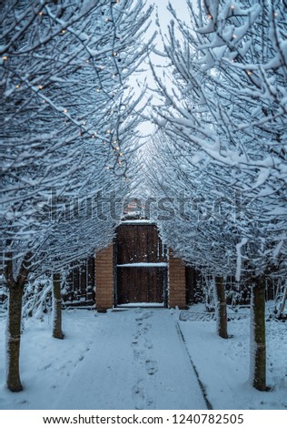 Winter background. Snowy path through snowy trees to the fence door.