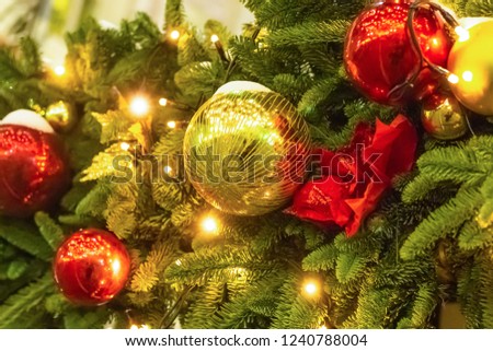 bright christmas design golden ball colorful red garland fluffy fir tree background festive